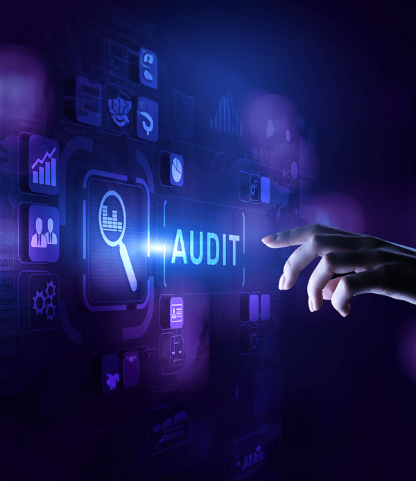 Cybersecurity Audit & Penetration Testing (per hour)