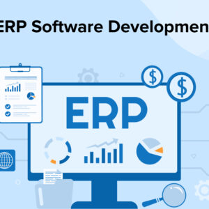 Enterprise Resource Planning (ERP) System Development (per hour)