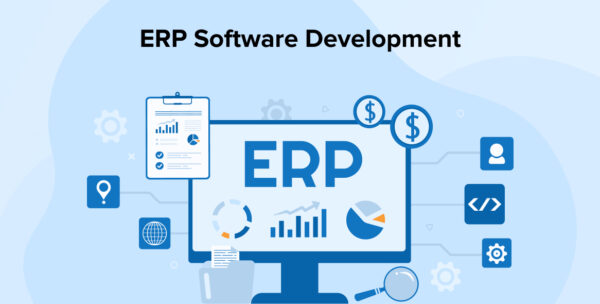 Enterprise Resource Planning (ERP) System Development (per hour)