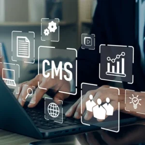 Content Management System (per hour)